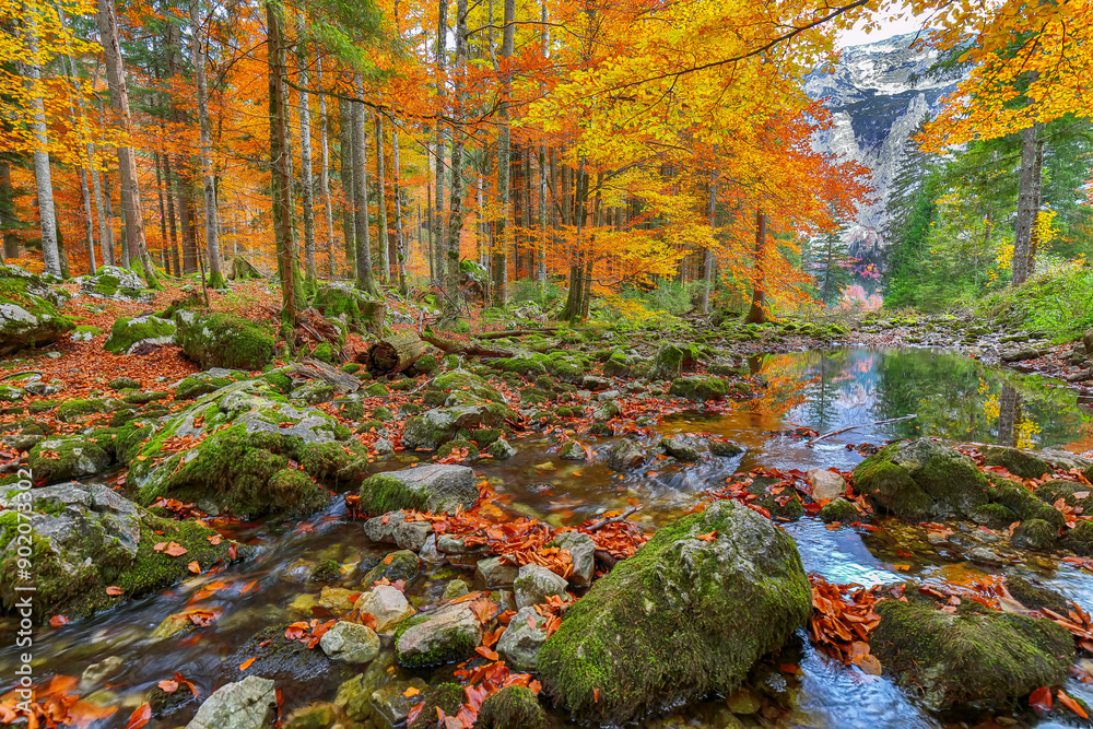 Captivating autumn scene near Hinterer Langbathsee lake.