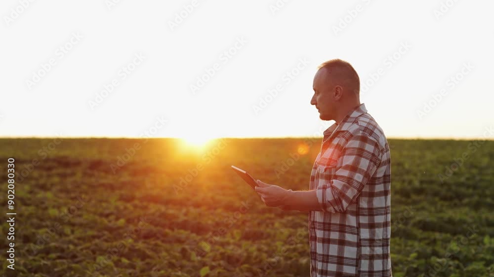 Agronomist farmer uses digital tablet to analyse and check quality control the growth soybeans plants in the field. Smart farming technology and organic agriculture concept. Modern soya agribusiness. Agronomist farmer uses digital tablet to analyse and check quality control the growth soybeans plants in the field. Smart farming technology and organic agriculture concept. Modern soya agribusiness.