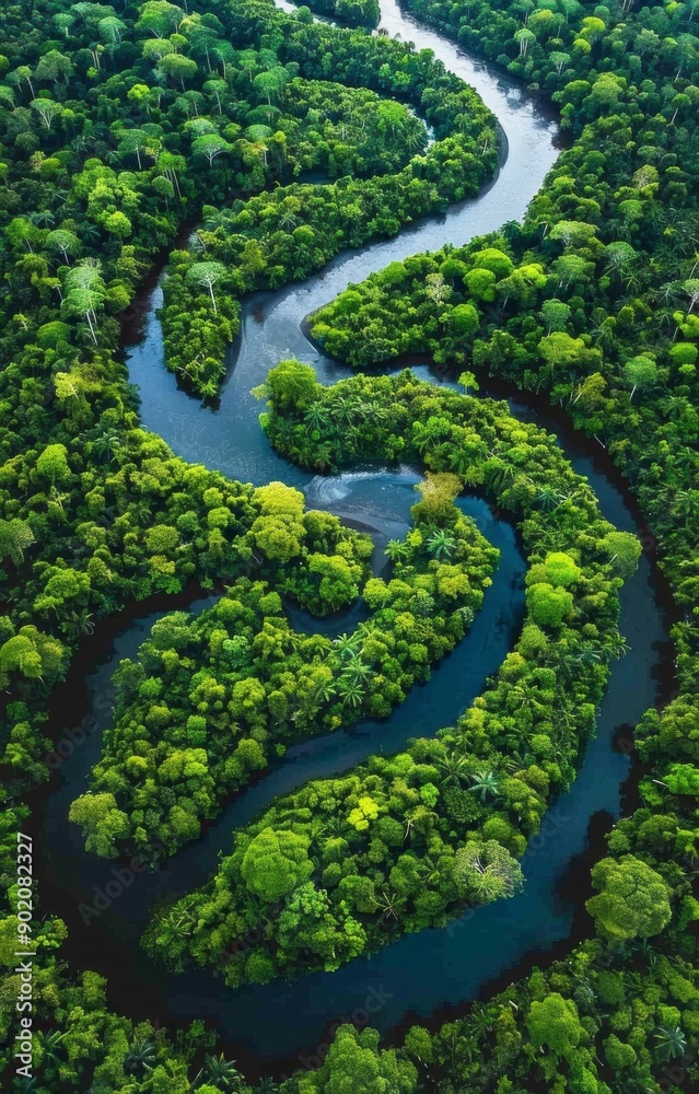 A river with a green forest on both sides A river with a green forest on both sides