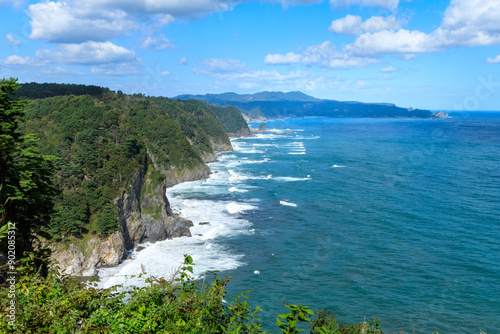 鵜の巣断崖から望むリアス式海岸