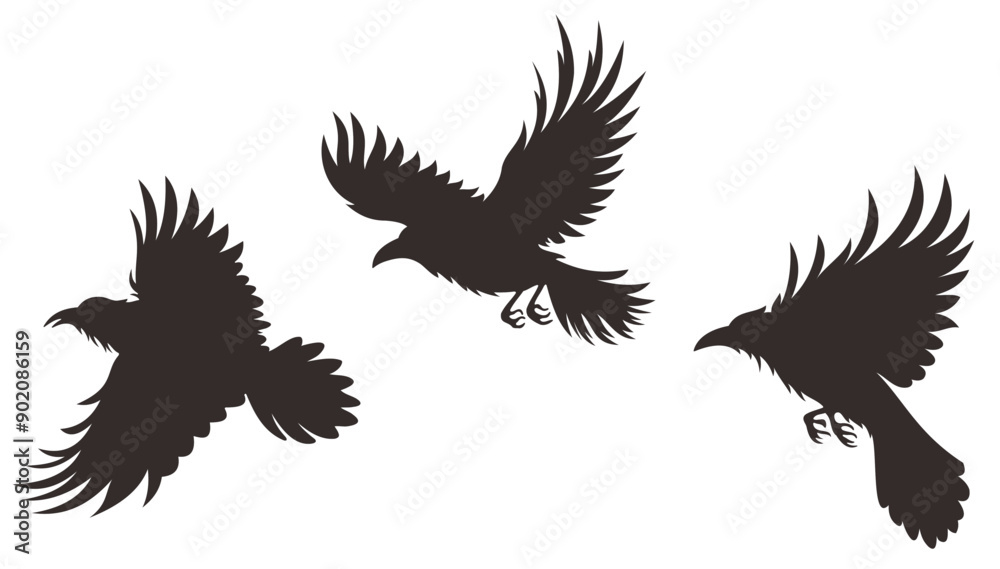 Obraz premium three isolated carrion crows are flying with wings open