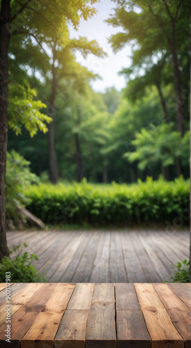 wooden bridge in the park