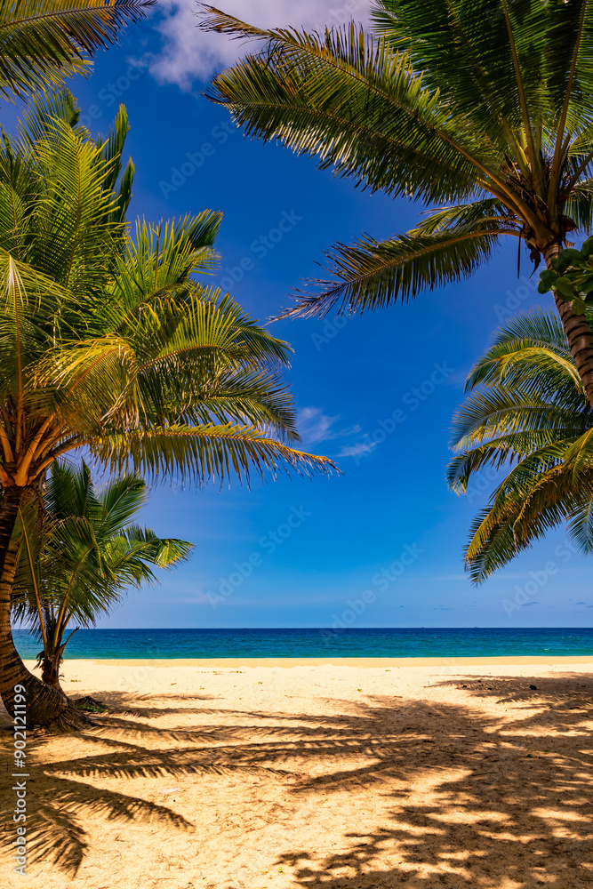 Summer background of Coconut Palm trees on white sandy beach Landscape nature view Romantic ocean bay with blue water and clear blue sky over sea at Phuket island Thailand. Summer background of Coconut Palm trees on white sandy beach Landscape nature view Romantic ocean bay with blue water and clear blue sky over sea at Phuket island Thailand.