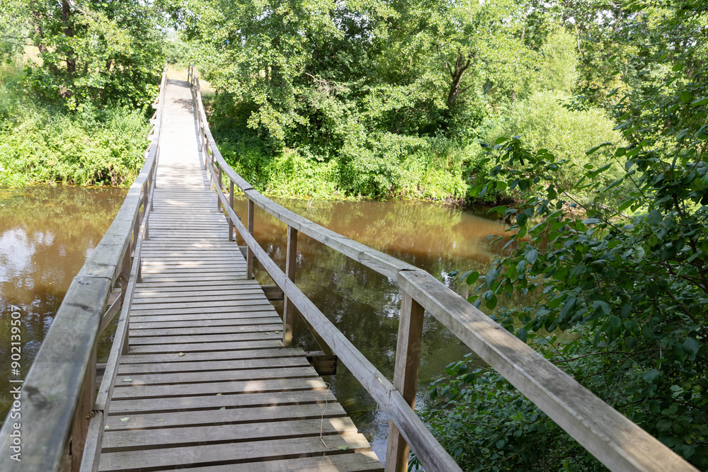 A person walks across the geierlay suspension bridge surrounded A person walks across the geierlay suspension bridge surrounded