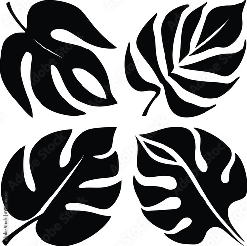  Leaf silhouette black and white  vector 