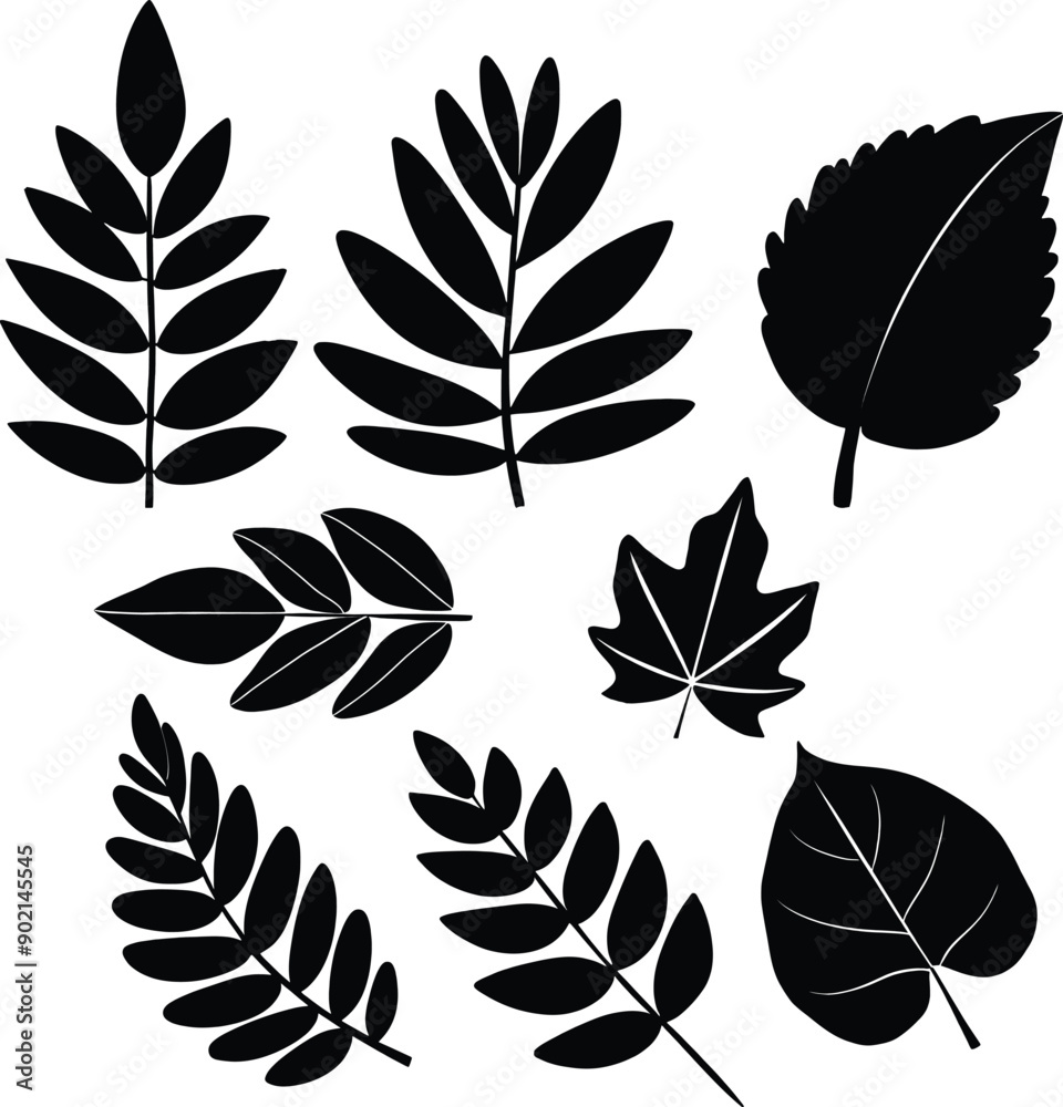 Fototapeta premium Leaf silhouette black and white vector 