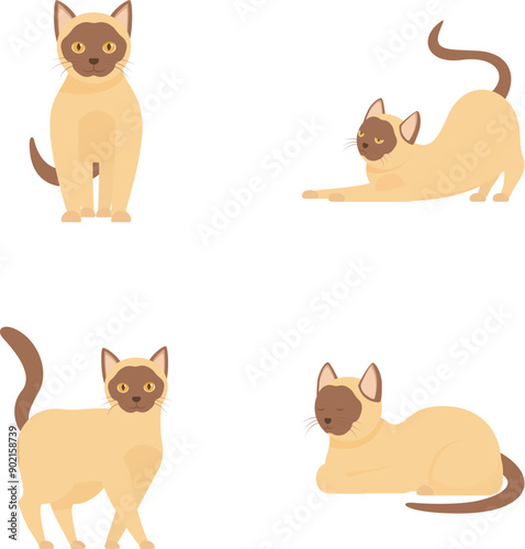 Set of cute siamese cats in different poses, perfect for petrelated designs