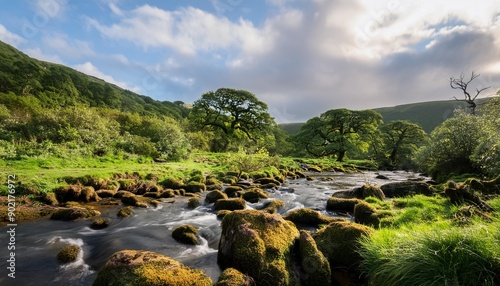 wistman s wood national nature reserve mystic high altitude oakwood on valley of the west dart river dartmoor devon united kingdom photo