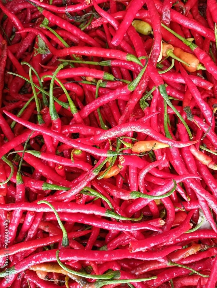 long red chilies as vegetable advertising background long red chilies as vegetable advertising background