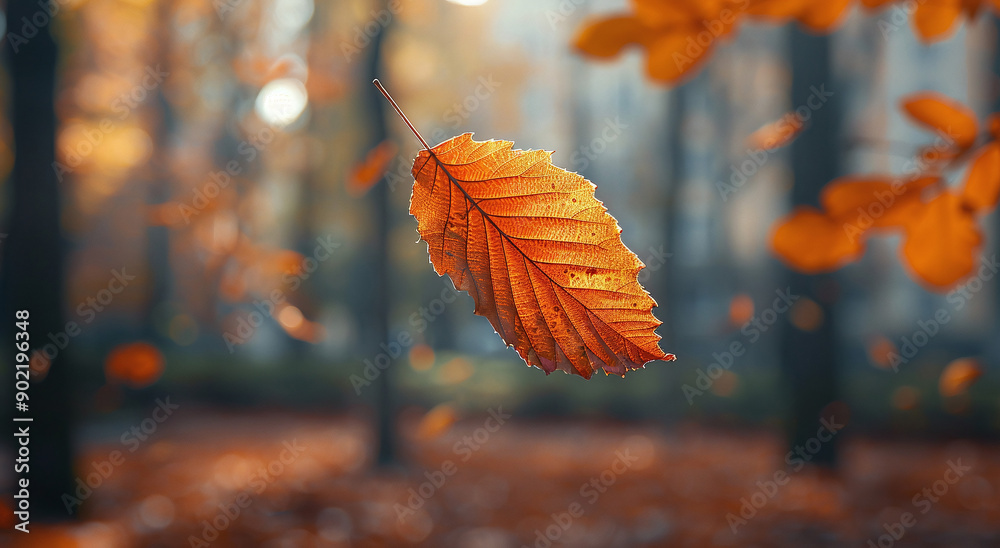 Floating Autumn Leaf Close-Up Floating Autumn Leaf Close-Up