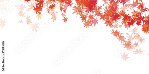 紅葉　葉　秋　背景	