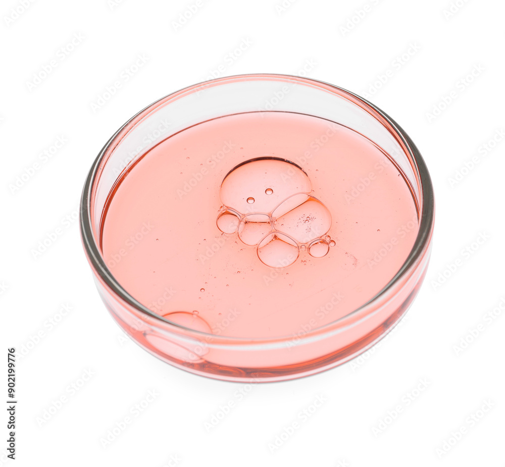 Petri dish with sample isolated on white Petri dish with sample isolated on white