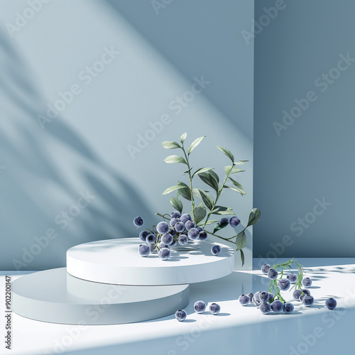 Blueberry Podium with Blue and White Color Accents