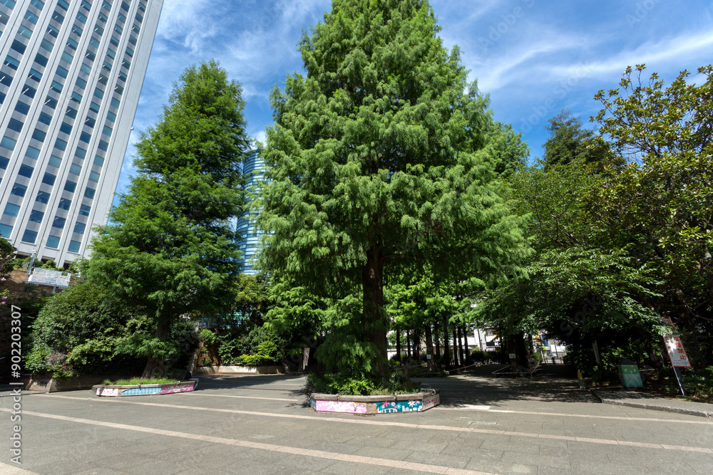 豊島区立東池袋中央公園(東京都豊島区東池袋3丁目1) 豊島区立東池袋中央公園(東京都豊島区東池袋3丁目1)