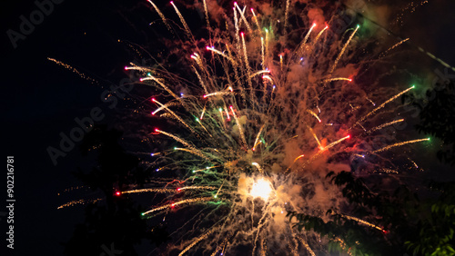 Sumidagawa Fireworks Festival 2024 in Tokyo