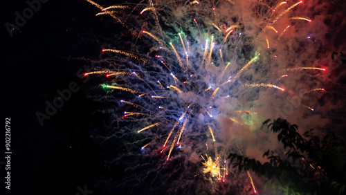 Sumidagawa Fireworks Festival 2024 in Tokyo