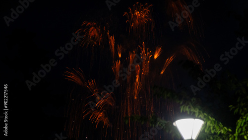 Sumidagawa Fireworks Festival 2024 in Tokyo photo