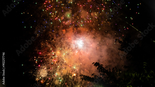 Sumidagawa Fireworks Festival 2024 in Tokyo