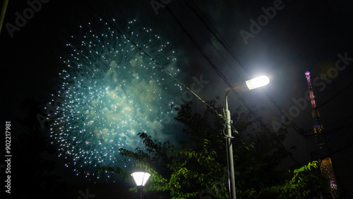 Sumidagawa Fireworks Festival 2024 in Tokyo photo