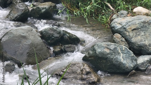 river in the forest