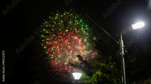 Sumidagawa Fireworks Festival 2024 in Tokyo photo