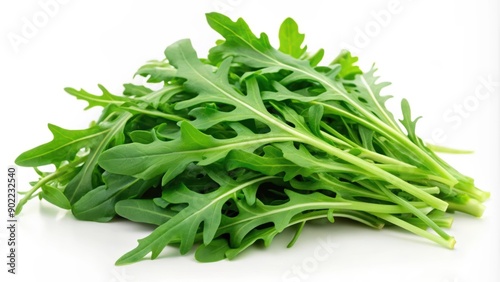 Fresh Green Arugula Leaves Isolated on White Background