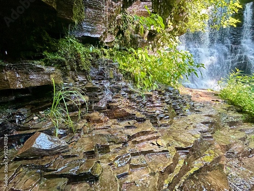 Ricketts Glen State Park, Pennsylvania, USA