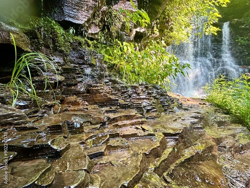 Ricketts Glen State Park, Pennsylvania, USA