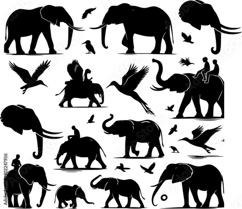 Photography elephants silhouettes vector
