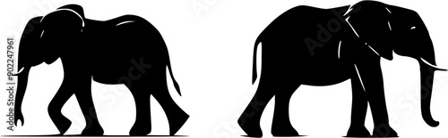 Canvas Print elephants silhouettes vector