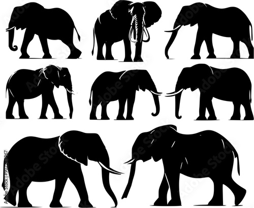 elephants silhouettes vector