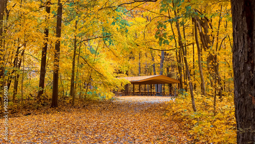 Panoramic view of Maybury state park with colorful Maple trees in Novi, Michigan .