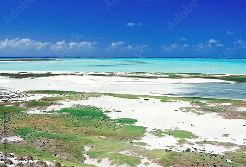 The Rocas Atoll is the only atoll in the South Atlantic Ocean, belonging to the Brazilian State of Rio Grande do Norte. It is located approximately 260 km northeast of Natal. Brazil, 2019