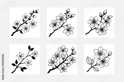 Beautiful Branch of Sakura Flower Silhouette Art on White Background
