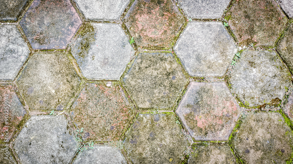 neatly arranged hexagonal conblocks for road coverings neatly arranged hexagonal conblocks for road coverings