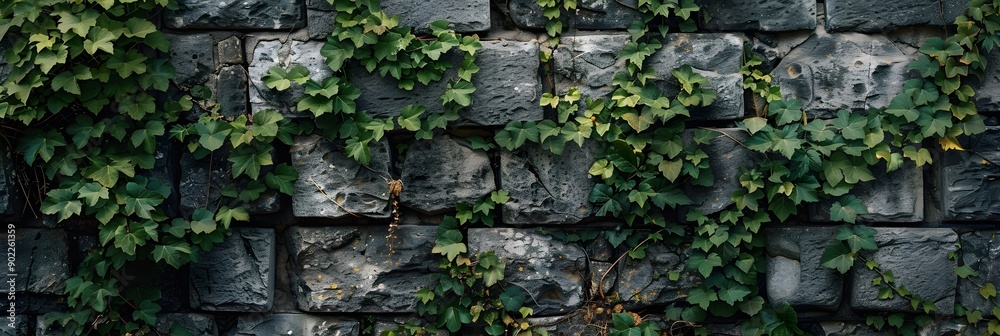 moss on stone moss on stone