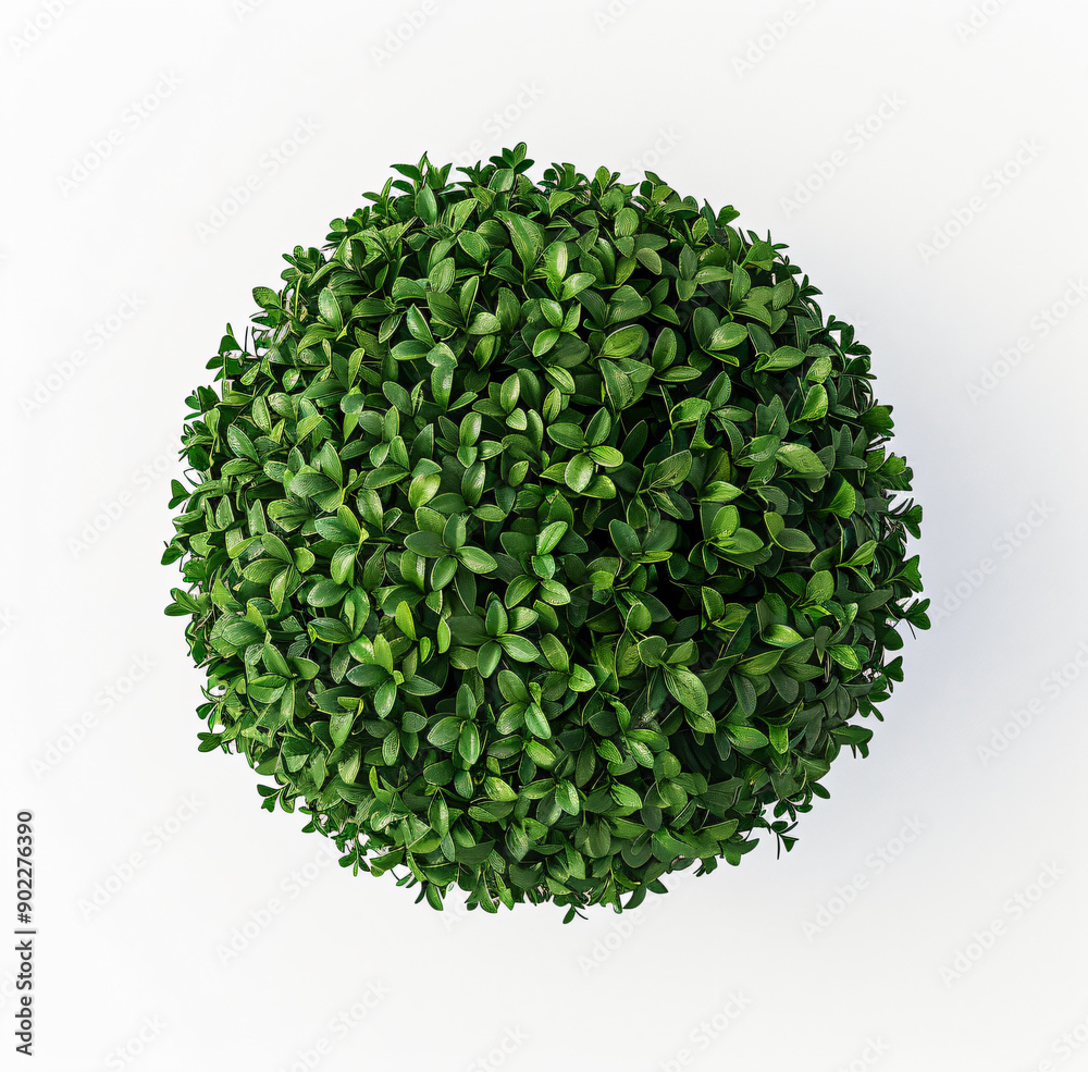 a small green ball of leaves on a white surface a small green ball of leaves on a white surface