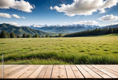 Deck Overlooking Meadow and Snow-Capped Mountains