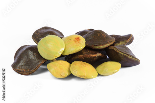 Archidendron pauciflorum on isolated white background (jengkol) photo