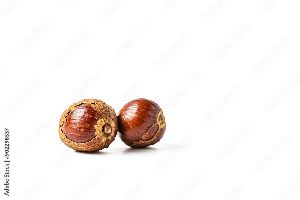 Two Chestnuts Isolated on White Background Two Chestnuts Isolated on White Background
