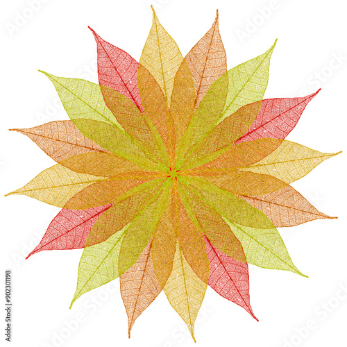Rosace de feuilles sèches 