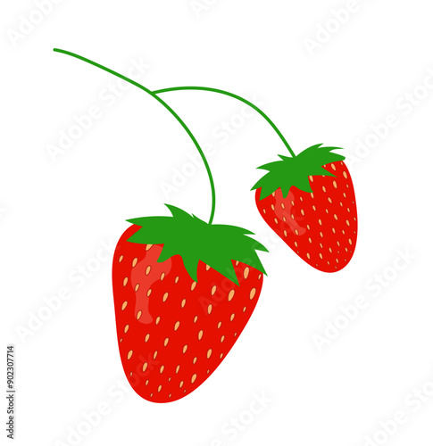 Strawberry isolated on white background. Ripe strawberry. Red berry fruit. Vector illustration