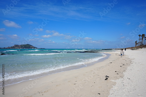 fine coast line and sand beach 