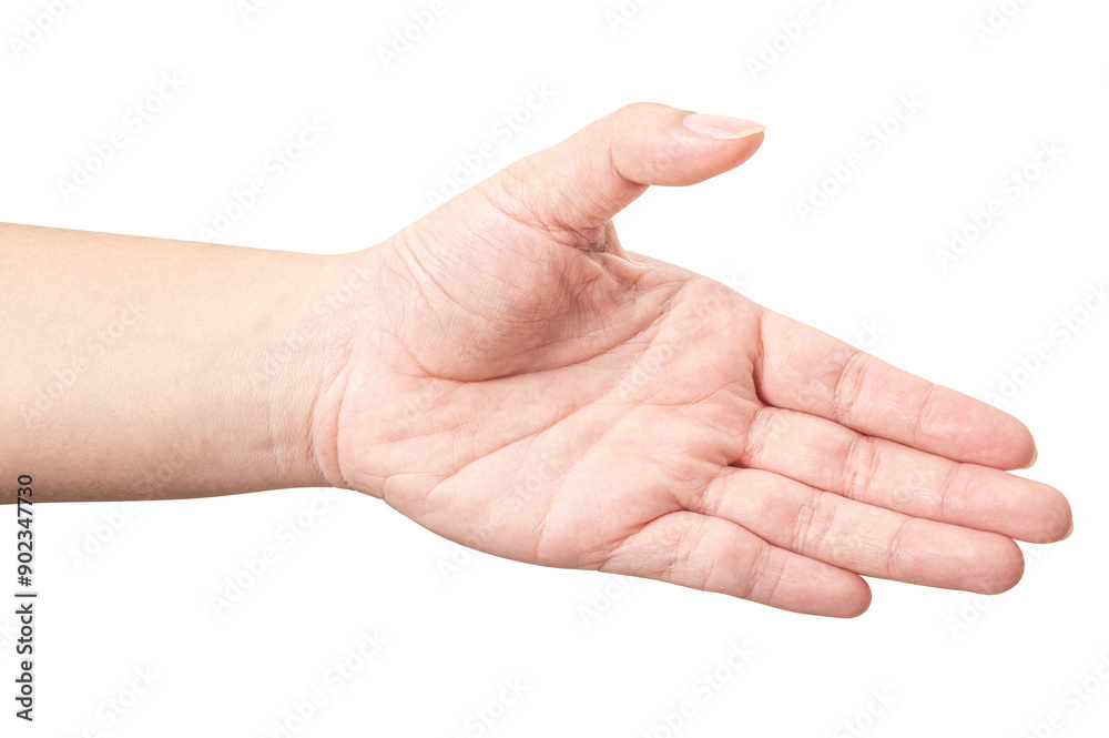 Male hand reach and ready to help or receive. Gesture isolated on white background. Male hand reach and ready to help or receive. Gesture isolated on white background.