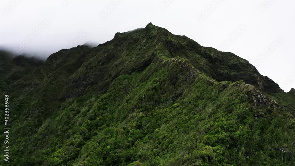 Mountaintop in Hawaii's remote inland forest region. Mountaintop in Hawaii's remote inland forest region.