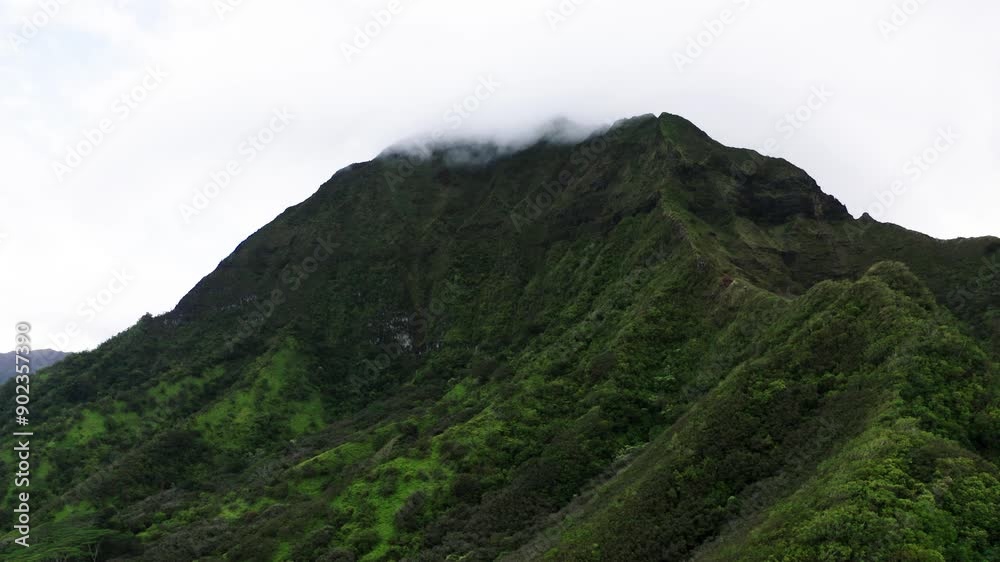 Drone shot of Hawaii's Ko'olau Mountain Range, covered in green forests. Drone shot of Hawaii's Ko'olau Mountain Range, covered in green forests.
