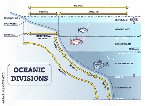 Oceanic divisions and depth zones as underwater parts in outline diagram, transparent background.Labeled educational geographic system with shallow and deep ecosystem illustration.
