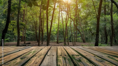 Wooden Deck in a Lush Forest