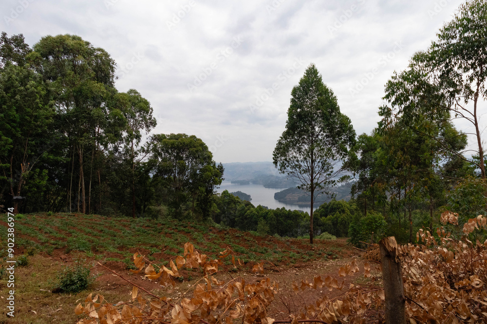 Fototapeta premium Landscape across southwestern uganda