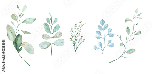 Set Delicate Eucalyptus Branches and Herbs. Watercolor Illustration in Blue Turquoise Tones. Design Elements for Cards, Invitations, Flyers, Posters, Home Textiles, Stationery